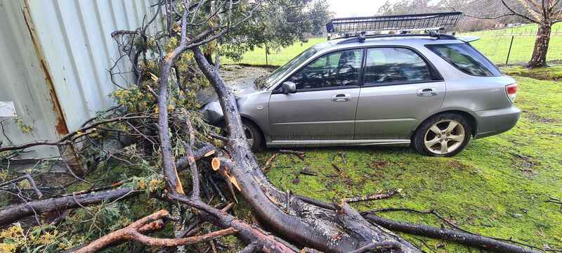 The storm and it's victim