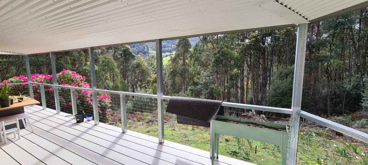 A view from my deck