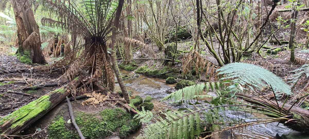 A stream at the bottom
