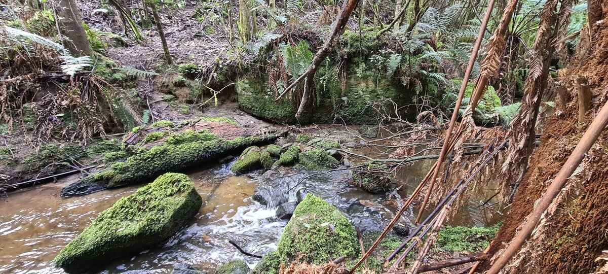 The rivers mighty currents