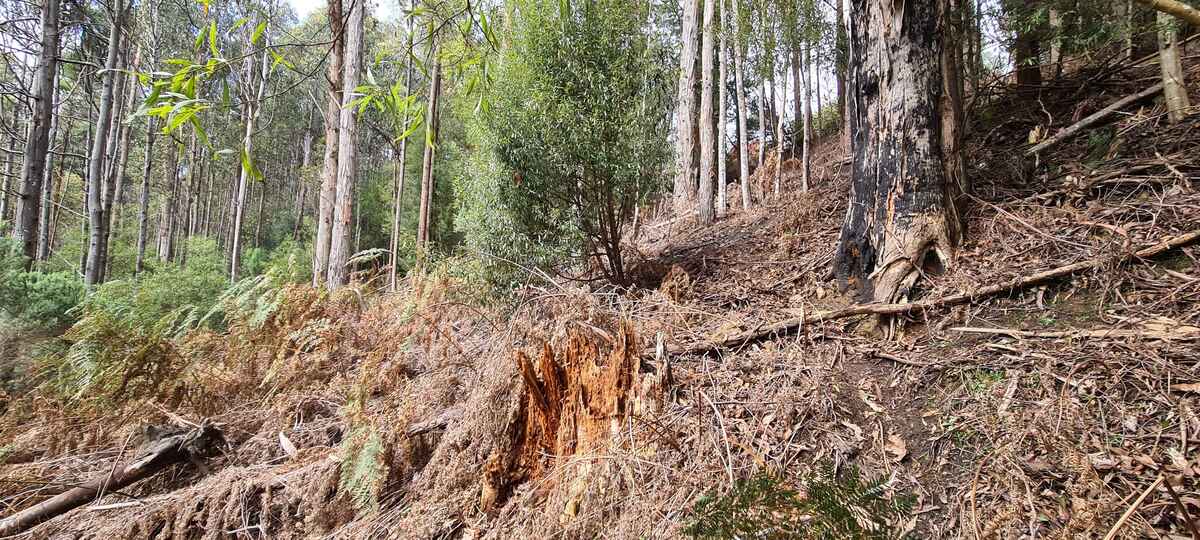 A picture showing the steepness