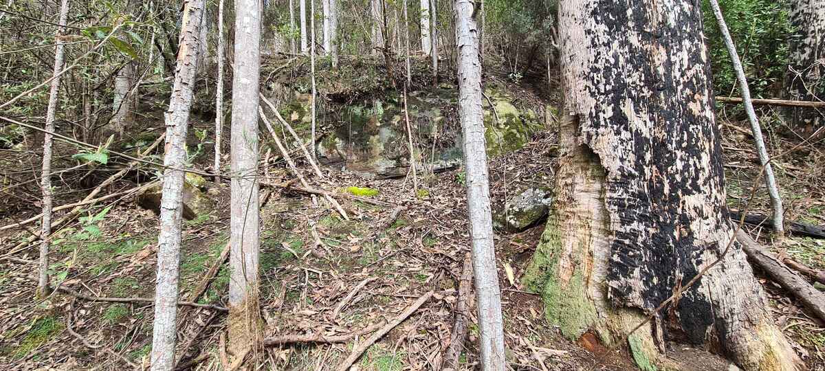 A cliff face