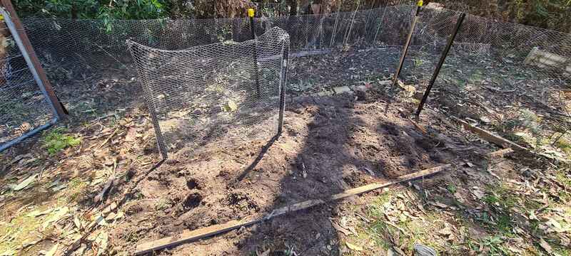The great Tomato fence