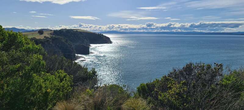 Above Clifton Beach, Tasmania