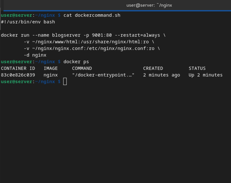 Screenshot of the docker command to run the server